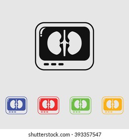 X-ray of kidney. icon.