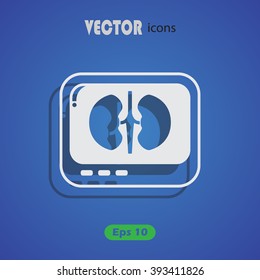 X-ray of kidney. icon.