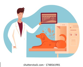 X-Ray, KT or MRI dog examination at vet clinic. Disease diagnosis, first aid and treatment on modern equipment. Animal health veterinary medicine. Doctor looking at puppy skeleton bone image. Vector