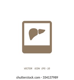 X-ray of liver. icon.