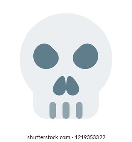 X-ray report of skull