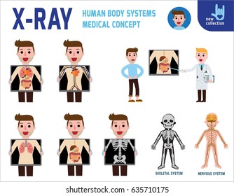 x-ray screen showing internal organs and skeleton.
human body systems. digestive.
medical health concept. infographic element.
vector flat cartoon design. illustration.
on white background