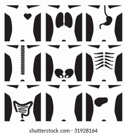 XRay Set