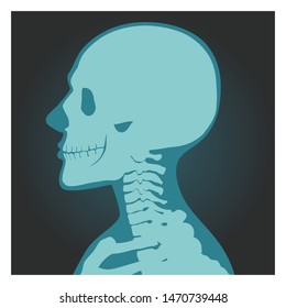 X-ray shot of skull, human body, head and neck bones side view, radiography, vector illustration