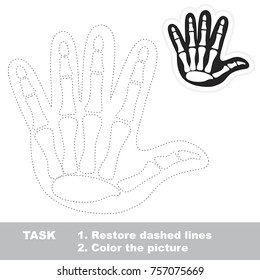 X-ray Skeleton Hand - Fingers and Bones. Dot to dot educational game for kids.