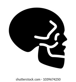 X-Ray of Skull