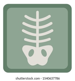 X-ray - spine, ribs and pelvis. Vector clipart