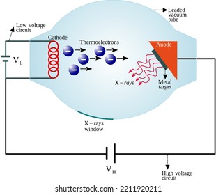 An x-ray tube is a transducer that convert electrical energy into two other forms: x-radiation and heat