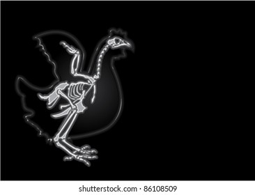 X-ray vector Chicken