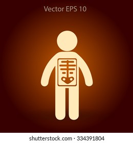 x-ray vector illustration