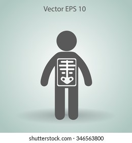 x-ray vector illustration