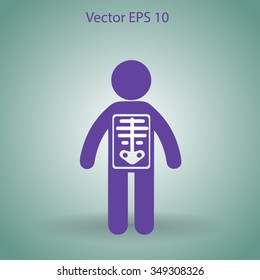 x-ray vector illustration