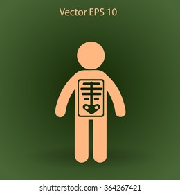 x-ray vector illustration