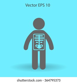 x-ray vector illustration