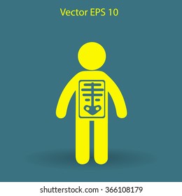x-ray vector illustration