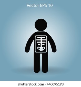 x-ray vector illustration