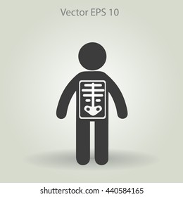 x-ray vector illustration