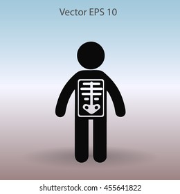 x-ray vector illustration