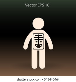 x-ray vector illustration