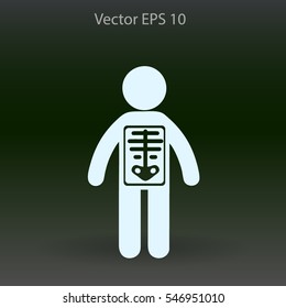 x-ray vector illustration