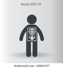 x-ray vector illustration