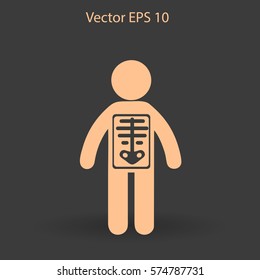 x-ray vector illustration
