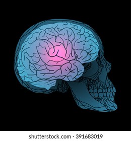 X-rays of the human skull with the brain. Vector illustration for your creativity