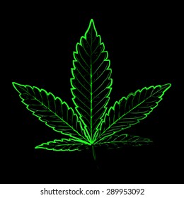X-Rays. Marijuana leaf in abstract style