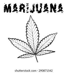 X-Rays. Marijuana leaf in abstract style