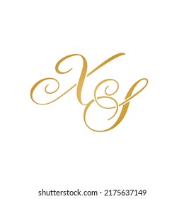 XS initial logo design vector stock