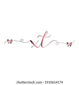 XT Logo inicial escritura a mano moda lujosa moderna
