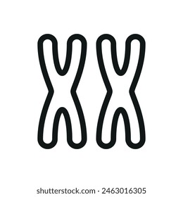 XX chromosomes isolated icon, female chromosome vector symbol with editable stroke