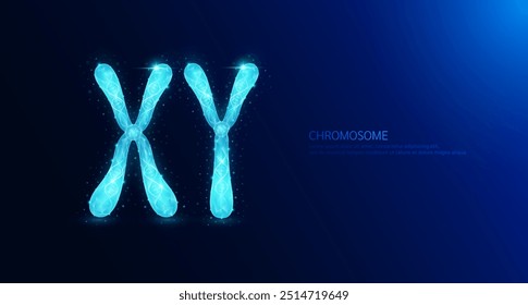 XY Chromosom männlich. DNA-Genzelle Doppelhelix blau leuchtend polygonal. Synthetische genetische Biologie kombiniert. Code Analyse Thymin, Adenin, Guanin, Cytosin. Medizinischer Hintergrund Vektor.