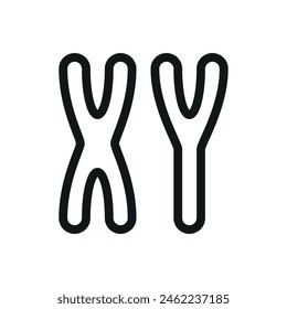 XY-Chromosomen isoliertes Symbol, X Y-DNA-Vektorgrafik-Symbol mit editierbarem Strich