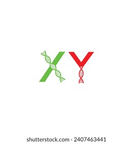 XY Creative logo And 
Icon Design