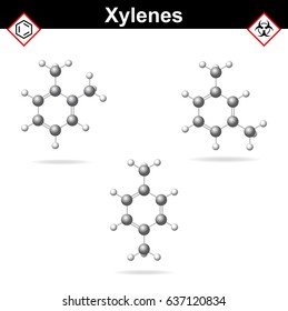 Xylene isomers - ortho, meta and para isomers, molecular formulas, 3d chemical vector illustrations, eps 10