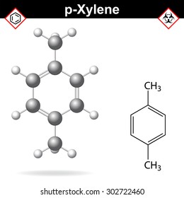 Xylene molecule - structural chemical formula and model of para-xylene, 2d and 3d isolated on white background, vector, eps 8