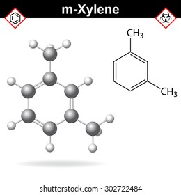 Xylene molecule - structural chemical formula and model of meta-xylene, 2d and 3d isolated on white background, vector, eps 8