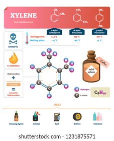 Xylene vector illustration. Labeled synthetic substance structure and uses. Scheme of liquid boiling and melting point and diagram with common uses. Infographic with all molecules chemical formula.