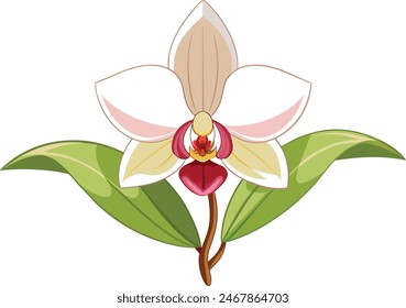 A xylobium orchid flower vector artwork illustration