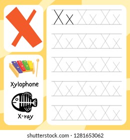 xylophone drawing line vector design
