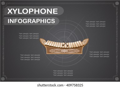 Xylophone  infographics, Vector illustration.