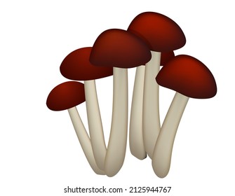 xylophyte poisonous mushrooms isolated on white background. Realistic rendering of mushrooms