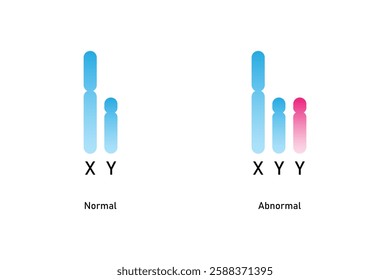 XYY Syndrome Science Design. Vector Illustration.