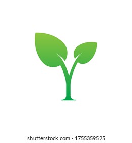 Y leaf plant letter logo design concept