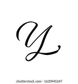 Y letter brushstyle handwritten vector