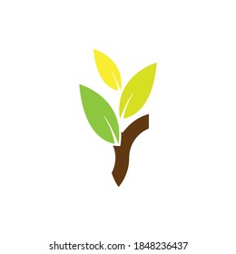 Letra Y con vector de diseño de logotipo de hoja