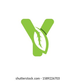 Y Letter logo leaf concept template design