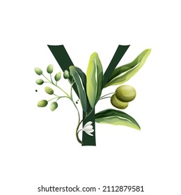 Y letter logo in watercolor style with olive branches. Illustration of mediterranean berries, green leaves, flowers, buds, and branches. 