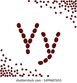 Y letter made from coffee beans. Characters made from coffee beans. Coffee lettering isolated on white background. Letters for coffee shop